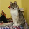 Отзыв от Наиля Токарева